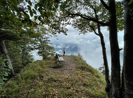 Rastbänke an der Gscheuerwand
