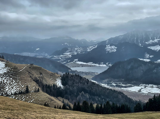 Aussicht vom Staudinger Kreuz zum Walchsee