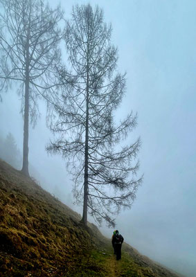 Wanderung durch den Nebel
