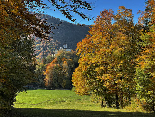 Blick auf Hohenaschau kurz vor dem Ende der Tour