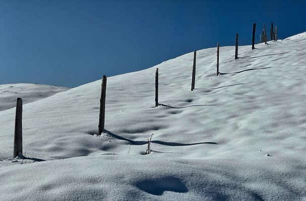 Zaunpfosten im Schnee
