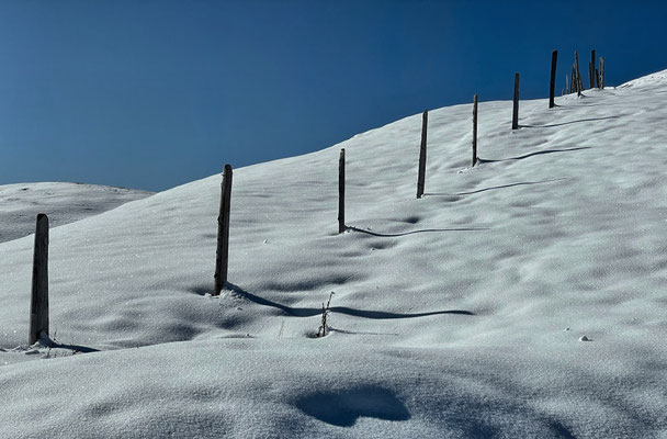 Zaunpfosten im Schnee