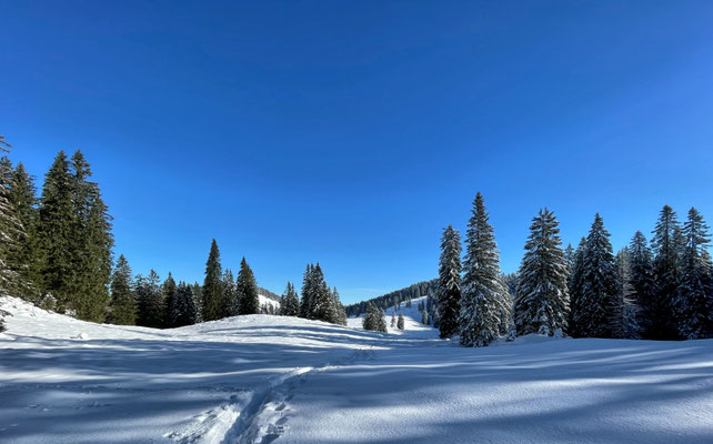 Blick zurück zum Riesenplateau