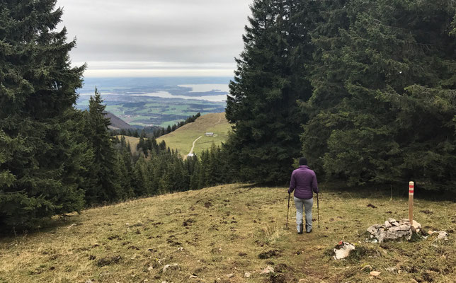 Abstieg zur Laubensteinalm