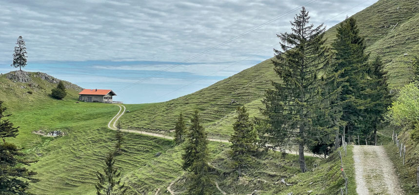 Blick zur Ebersberger Alm