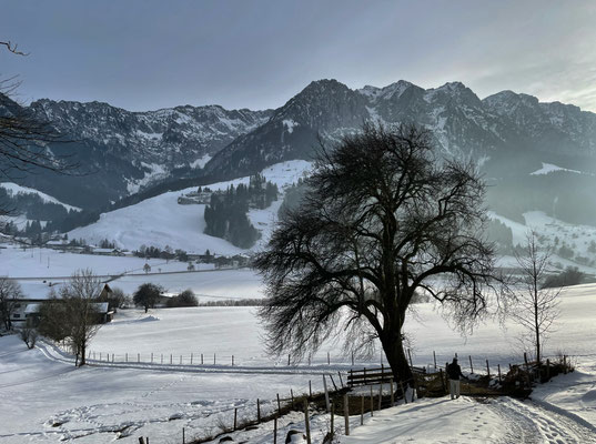 Abstieg vom Miesberg nach Durchholzen
