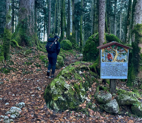 Märchenwald Ruhpolding