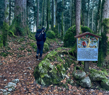 Märchenwald Ruhpolding