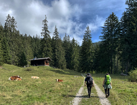 Auf dem Weg zur Hofbauernalm