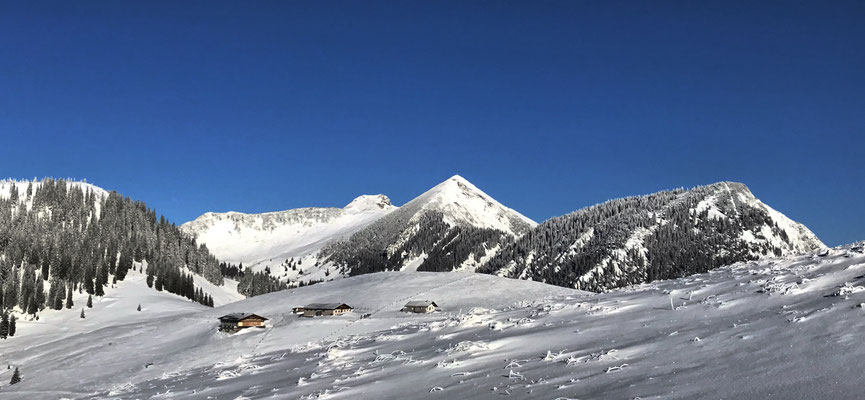 Blick über die Lochner Alm zum Geigelstein