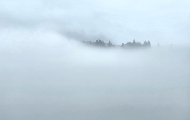 Über den Wolken tauchen Baumspitzen auf