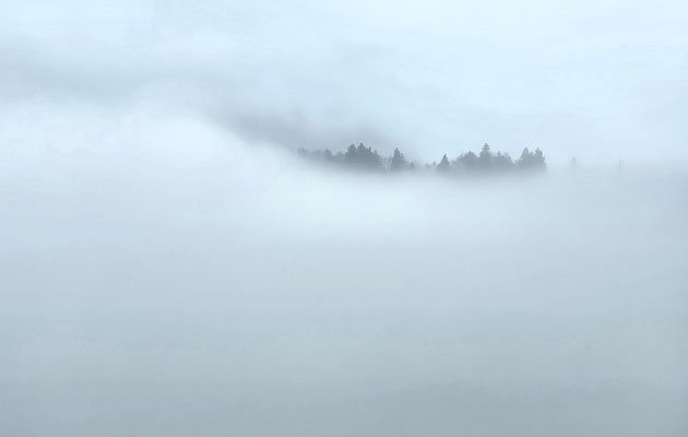 Über den Wolken tauchen Baumspitzen auf