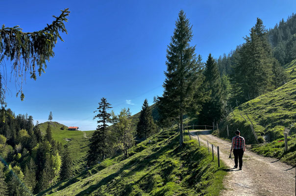 Auf dem Weg zur Ebersberger Alm