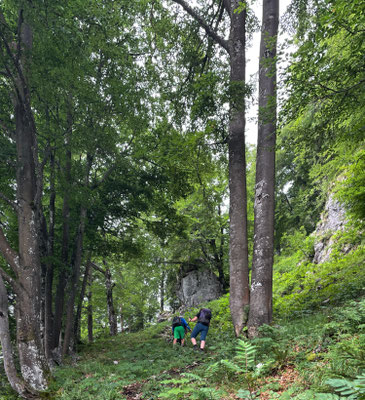 Aufstieg zum Friedenrath