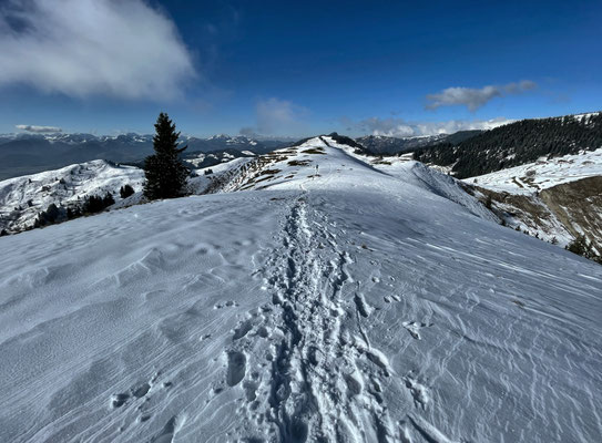 Auf dem Rückweg vom Lochner Horn zur Wandberghütte