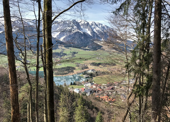 Blick auf den Walchsee