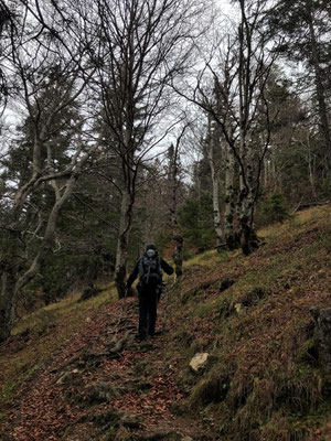 Gegenanstieg zur Bergstation der Kampenwandbahn