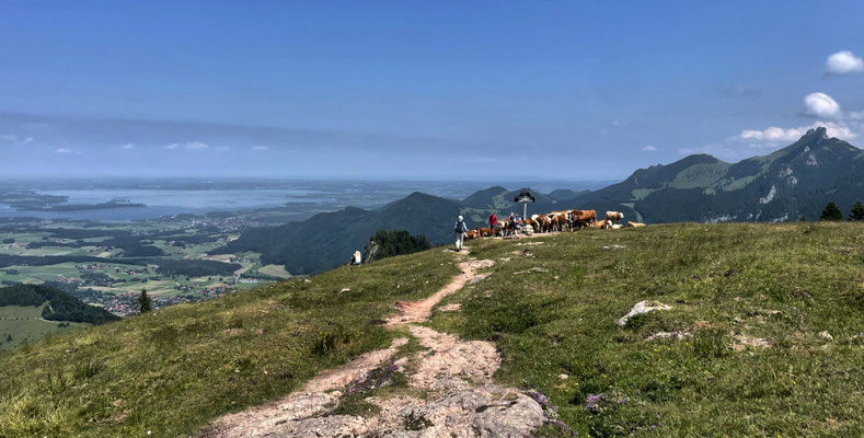 Laubenstein Gipfel