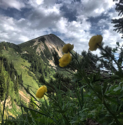 Den Geigelstein im Blick
