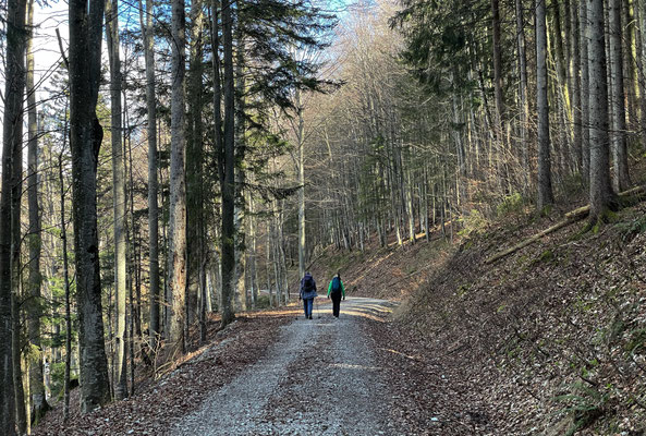 Breiter Weg zur Gscheuerwand