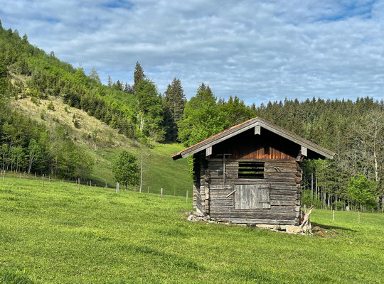 Am Moserboden