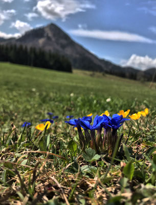 Bei der Hofalm