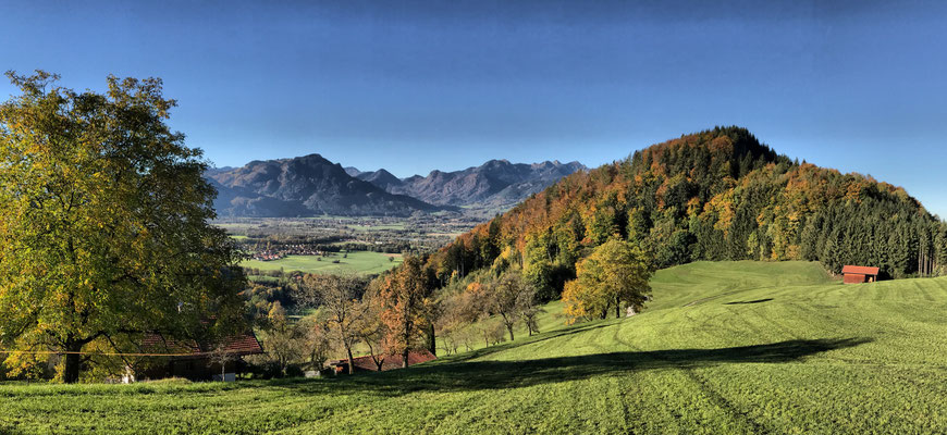Bei Nockl