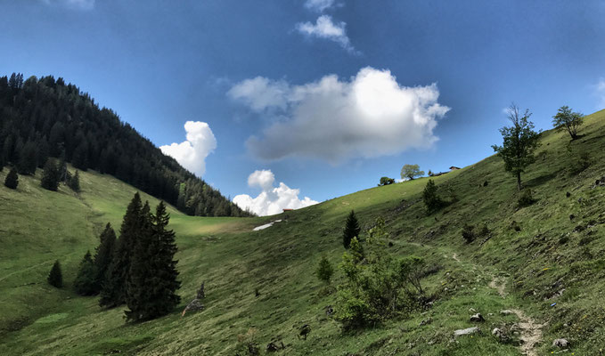 Auf dem Weg
