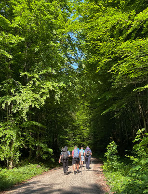 Schotterweg bergauf zum Start