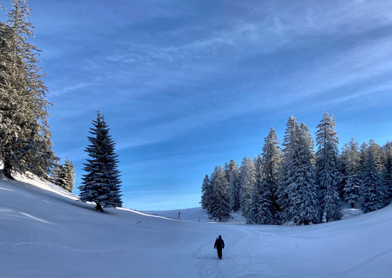 Winterlandschaft kurz vor der Laubensteinalm