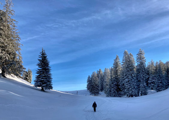 Winterlandschaft kurz vor der Laubensteinalm