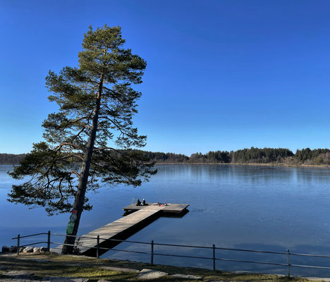 Hartsee