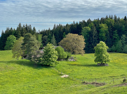 Kurz vor der Mittelstation der Hochriesbahn