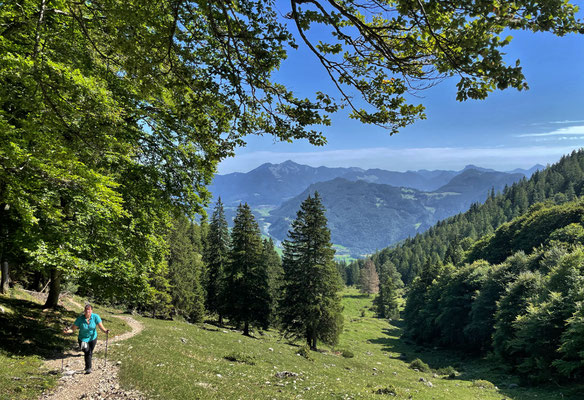 Am Aufstiegsweg auf den Karkopf