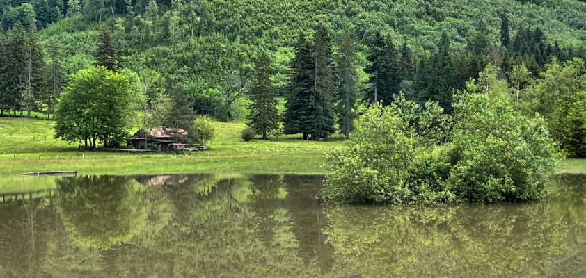 Feuchte Wiese am Moserboden