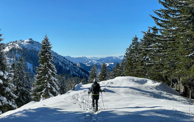 Abstieg vom Riesenberg im Winter mit der Hochries im Blick