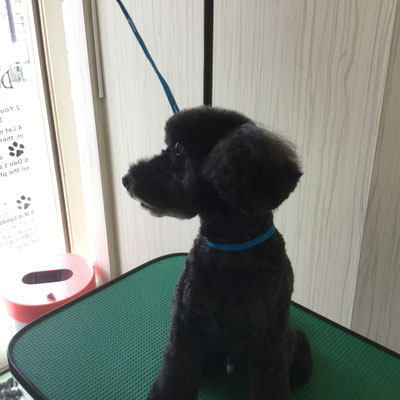 出来上り　横スタイル