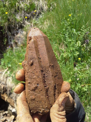 Bergkristall (13 cm) direkt aus der Kluft