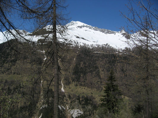 Der Schnee geht langsam zurück...