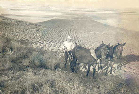 Arando nuestra tierra