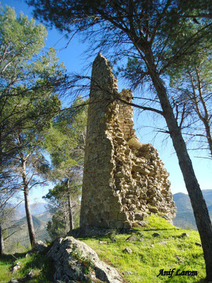 La torre, en el cerro La Harina