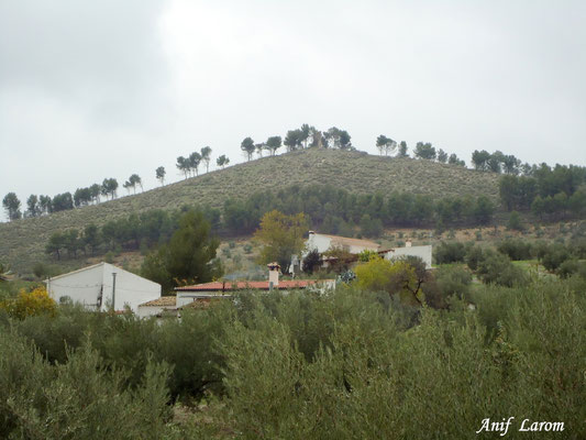 Cortijada de Los Cebolleros. Carretera de Alcaudete