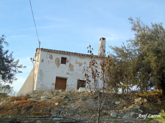 Cortijo de Vicente y Frasca. Carretera de Alcaudete