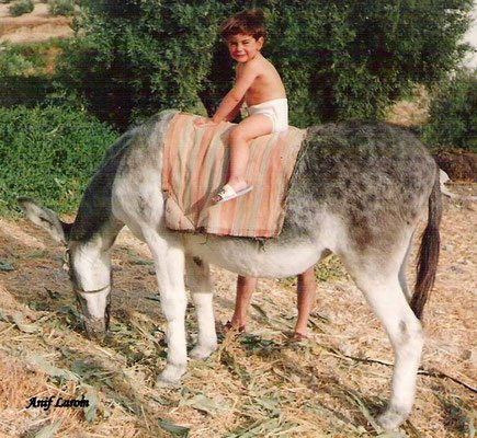 Nieta y burra de Casiano. Cortijo Los Botijos