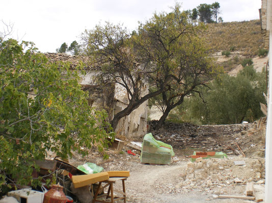 Ruinas del cortijo de López y Flora. 2011