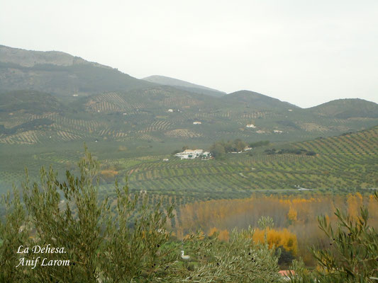 La Dehesa del Tobazo. Carretera de Alcaudete