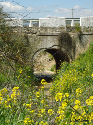 Puente del barranco. Carretera de Alcaudete