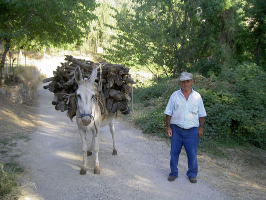 De camino a casa.