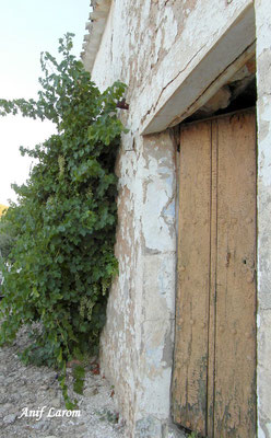 Puerta del cortijo La Torrezna. Monte Las Cabreras.