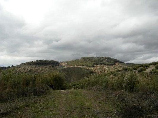 La Loma Larga, desde La Solana